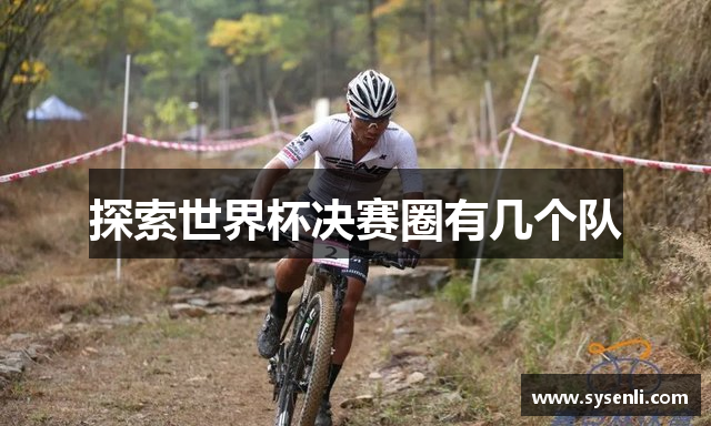 探索世界杯决赛圈有几个队
